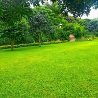 Fountainbrook (5)